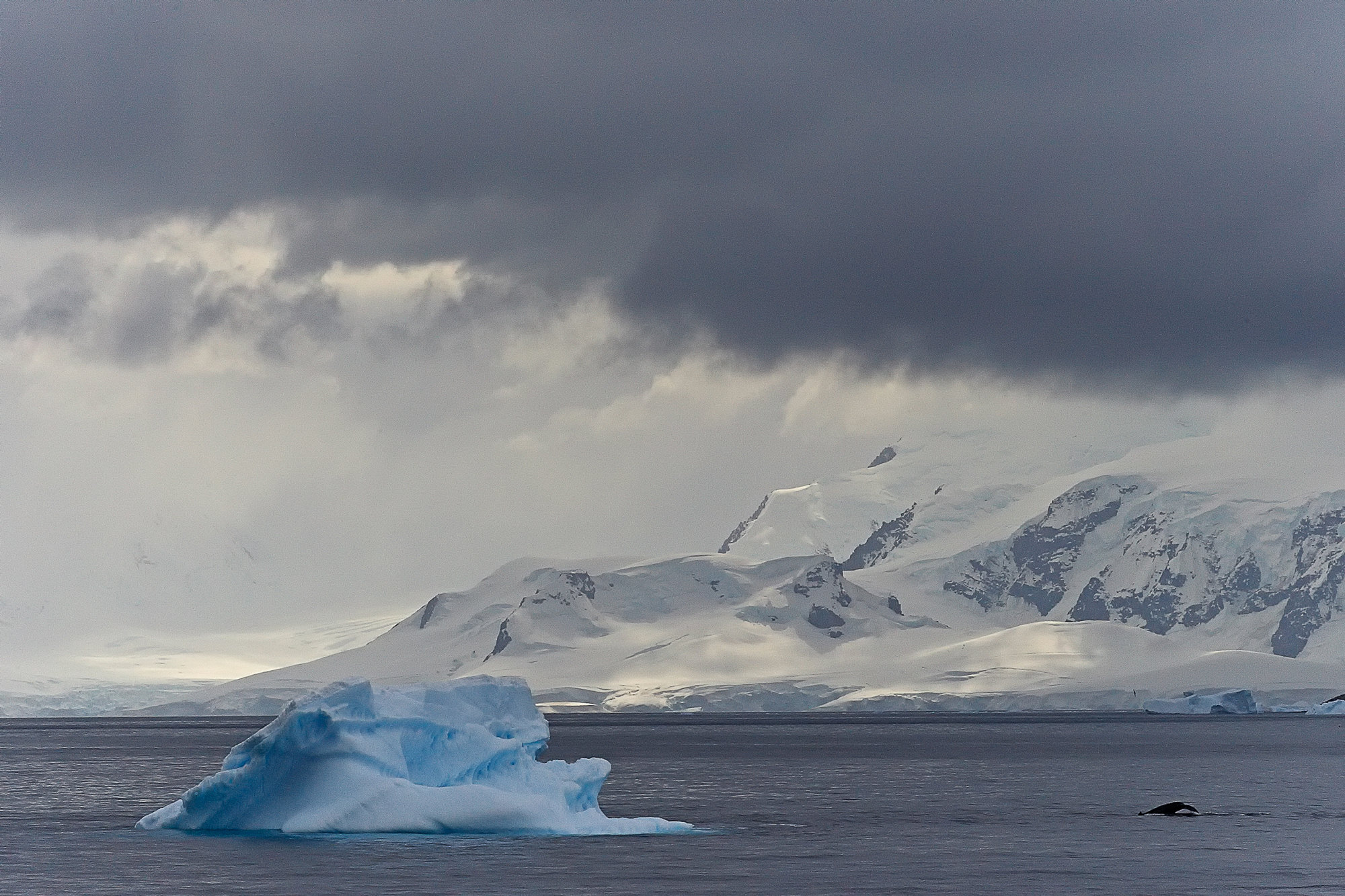 Antarctic Sound